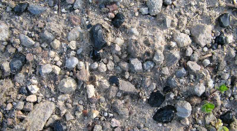 Obsidiány 1-3 cm v lokalitě Viničky